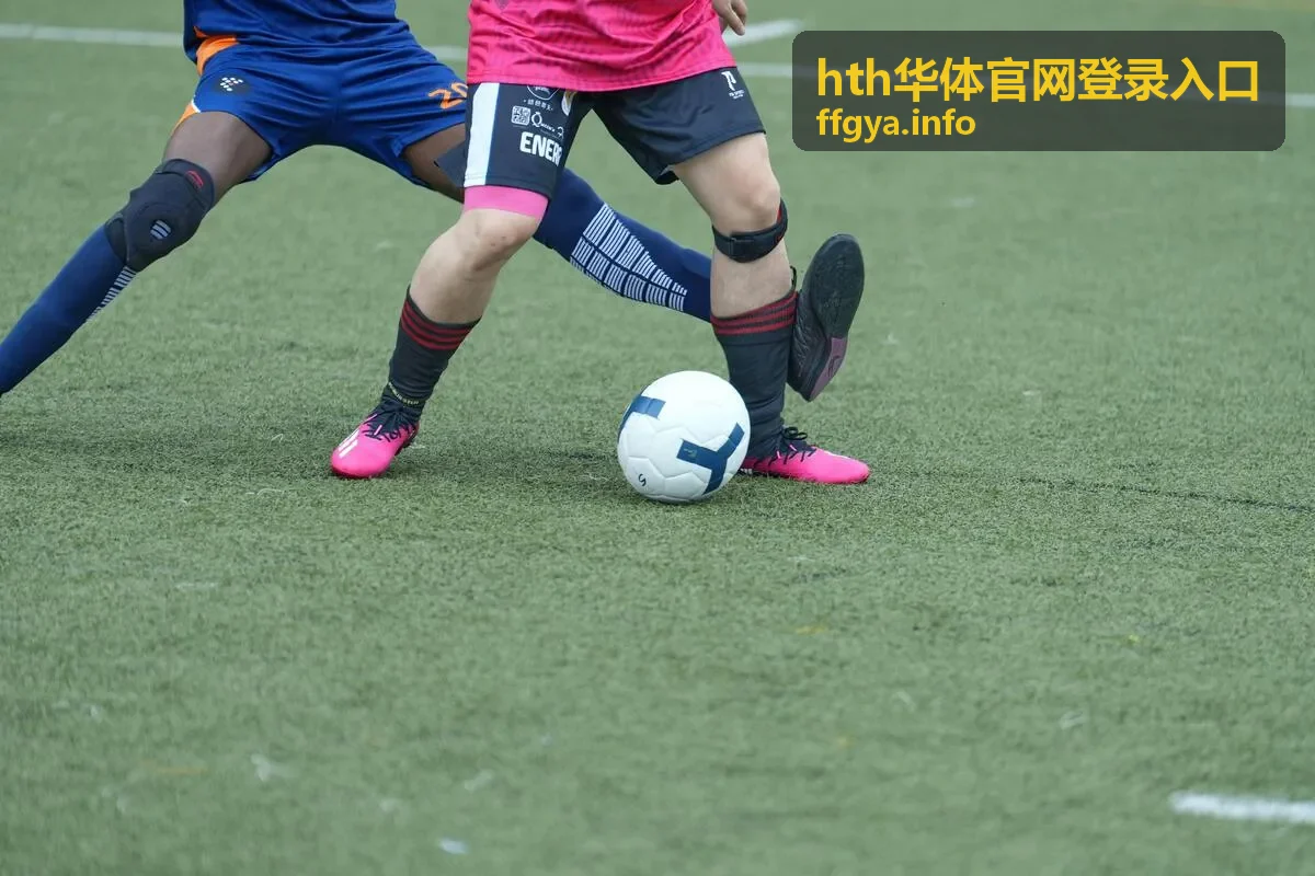 hth华体官网登录入口验证码填写演示画面