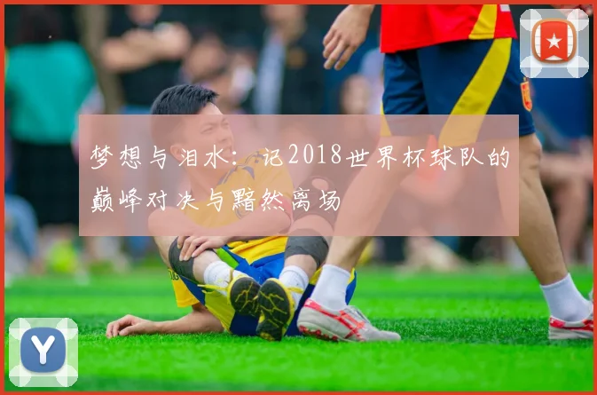 梦想与泪水：记2018世界杯球队的巅峰对决与黯然离场