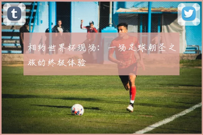 相约世界杯现场：一场足球朝圣之旅的终极体验