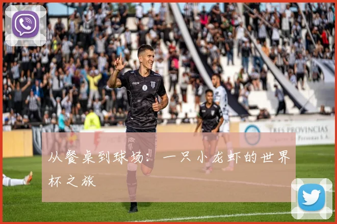 从餐桌到球场：一只小龙虾的世界杯之旅