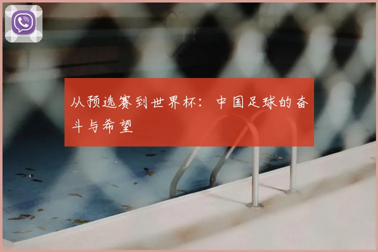 从预选赛到世界杯：中国足球的奋斗与希望