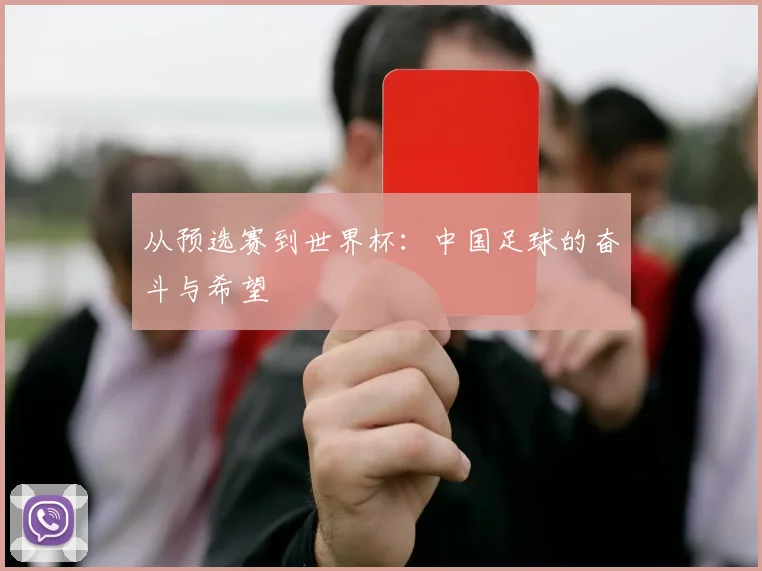 从预选赛到世界杯：中国足球的奋斗与希望