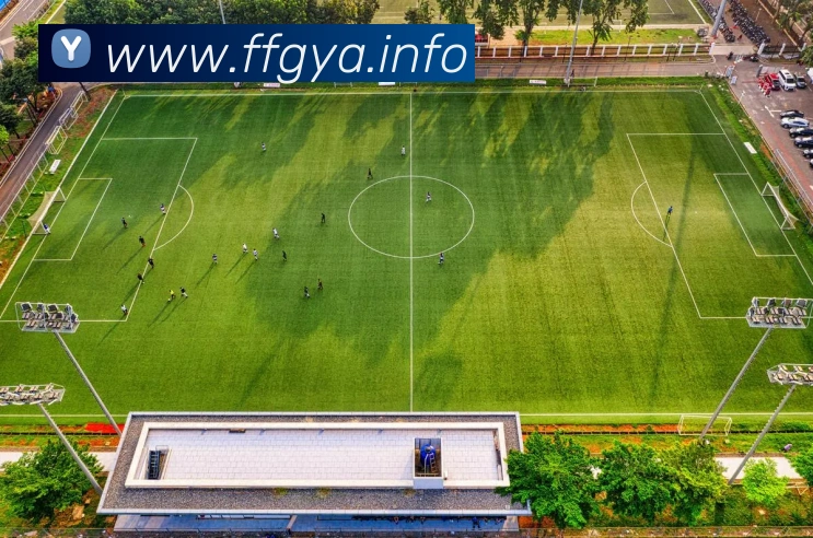 九游在线官网APP 封面图